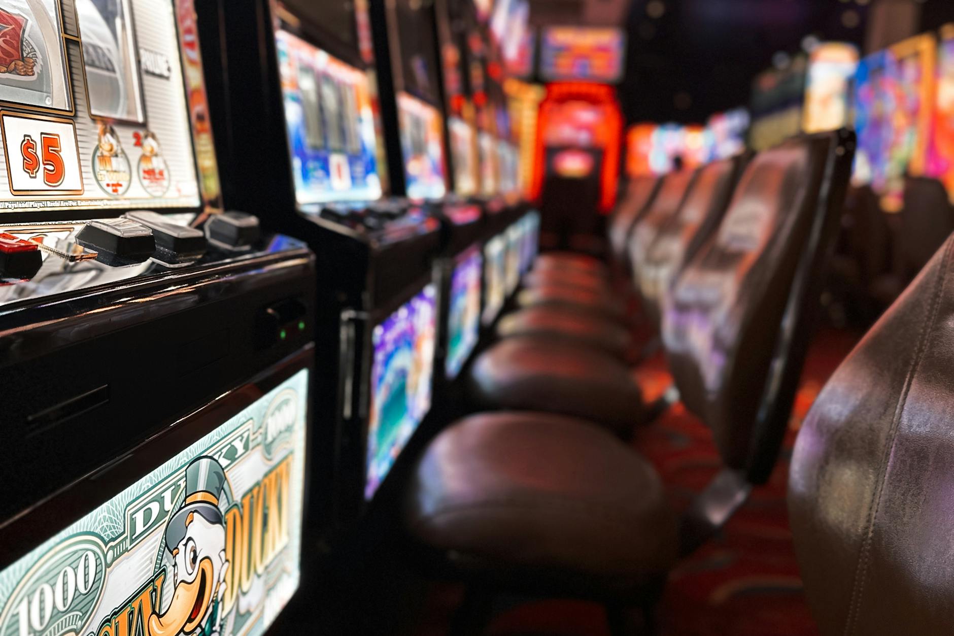 Retro oasis lounge with players mingling and enjoying social gaming